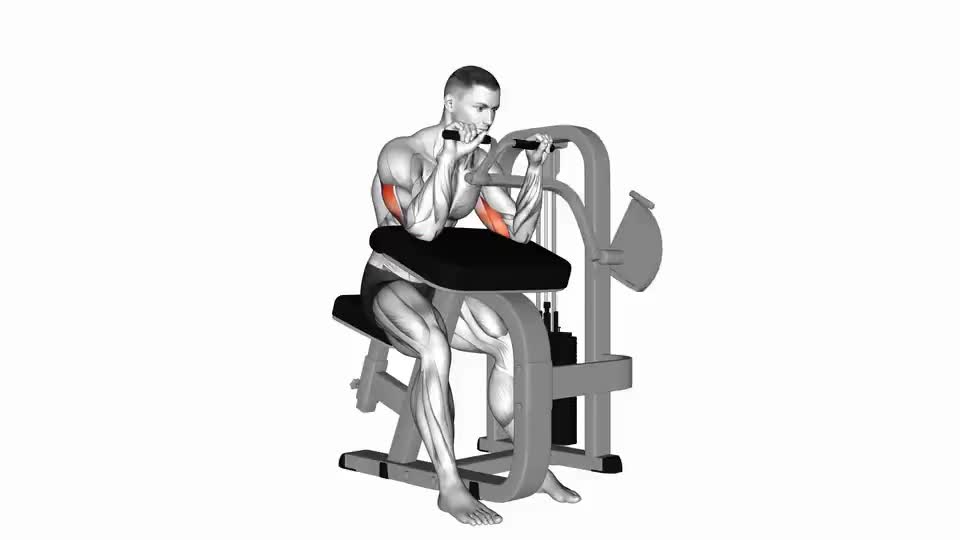 Image of Lever Triceps Extension