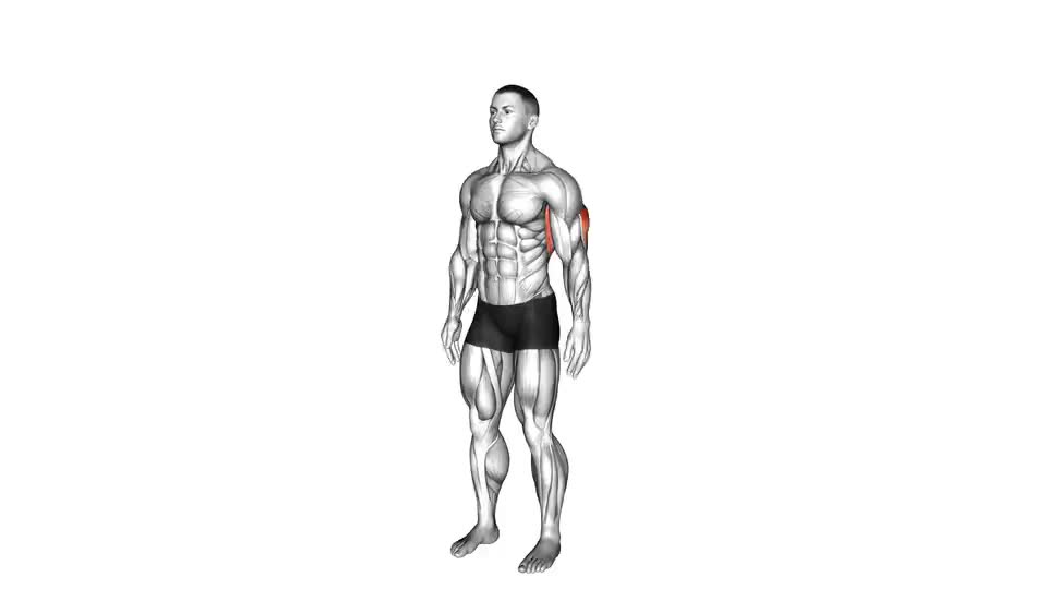 Image of Overhead Triceps Stretch