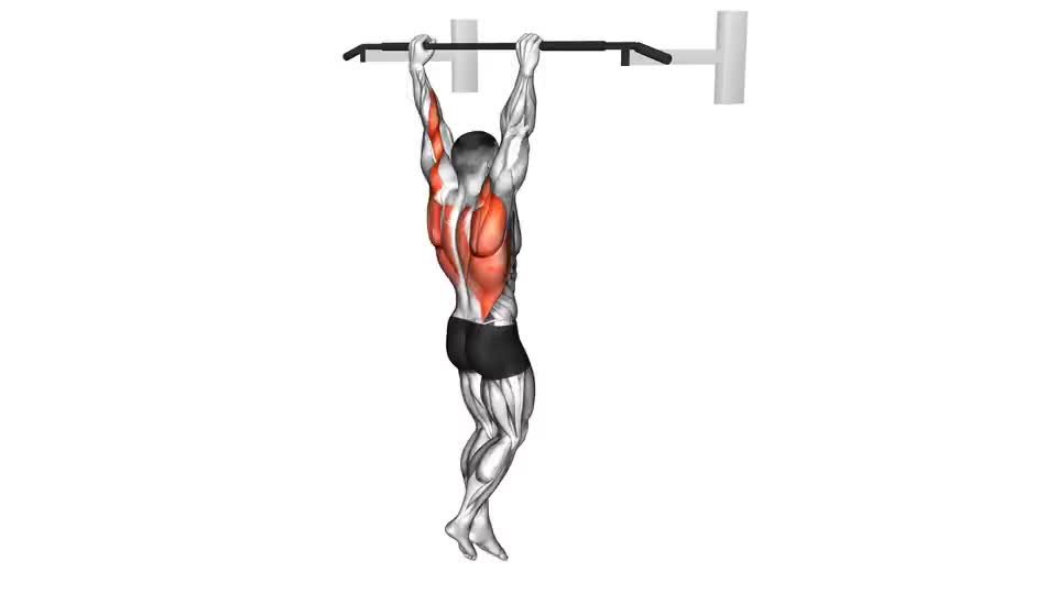 Image of Pull-up
