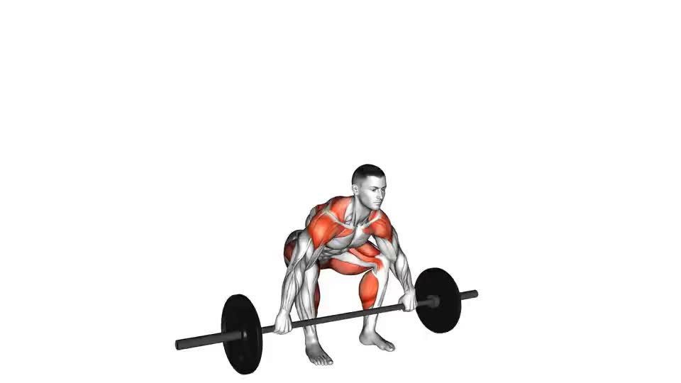 Snatch Pull - Video Guide