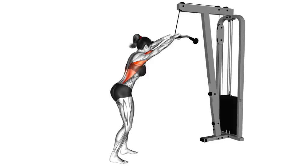 Image of Cable straight arm pulldown 