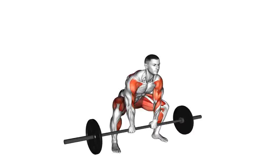 BARBELL SUMO DEADLIFT - Exercises, workouts and routines