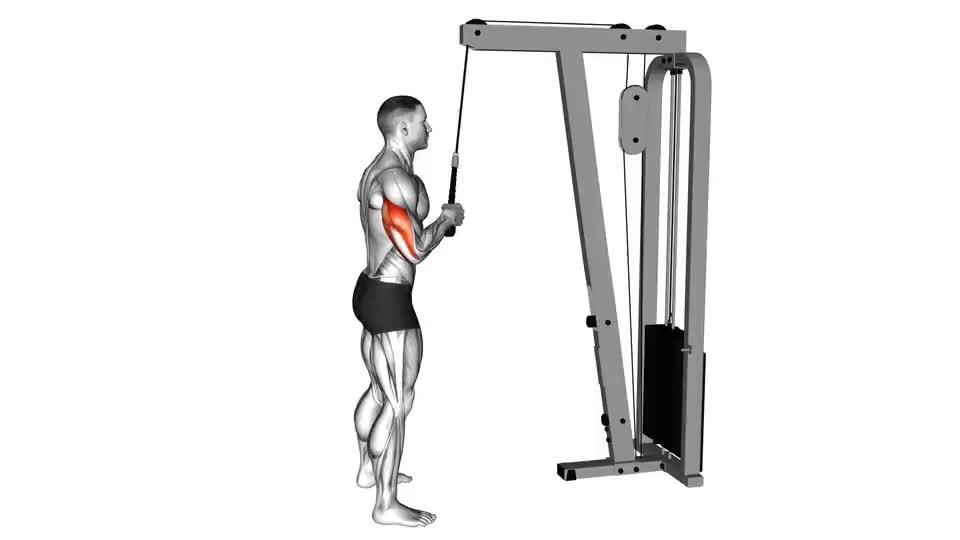 Image of Cable Standing One Arm Tricep Pushdown 
