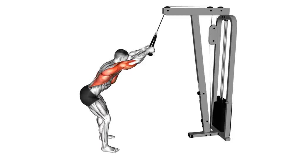 Image of Cable Standing Lat Pushdown 