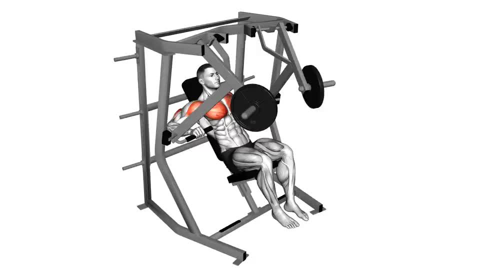 Image of Lever Decline Chest Press