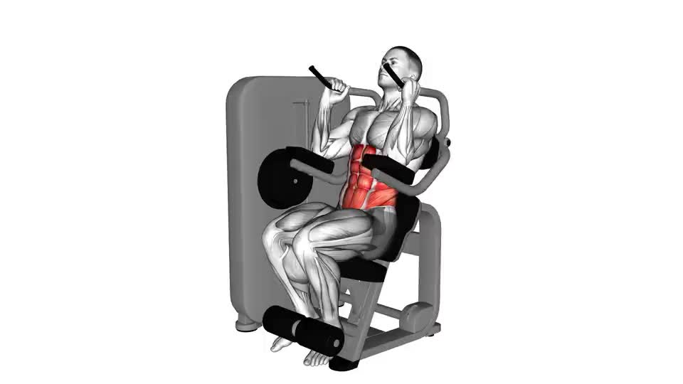 Image of Lever Seated Crunch