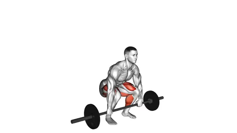 Image of Barbell Clean Deadlift