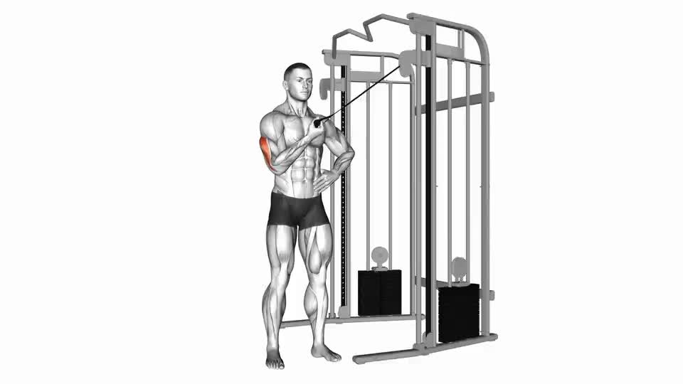 Image of One Arm Side Triceps Pushdown