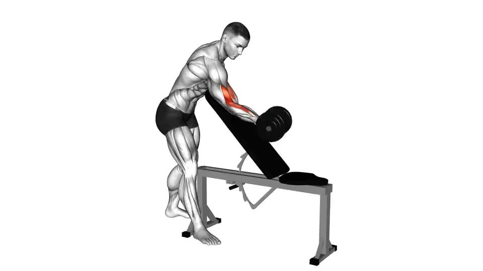 Image of Dumbbell One Arm Zottman Preacher Curl