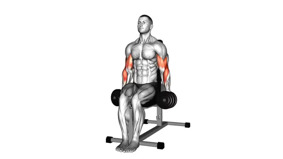 Image of Seated Hammer Curl