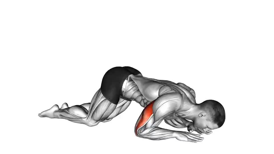 Image of Bodyweight Kneeling Triceps Extension
