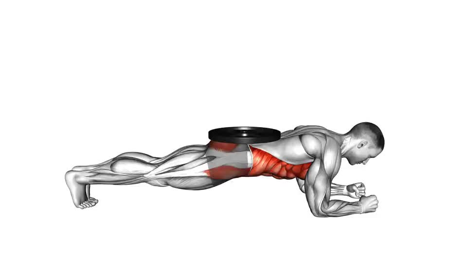 Image of Weighted Front Plank