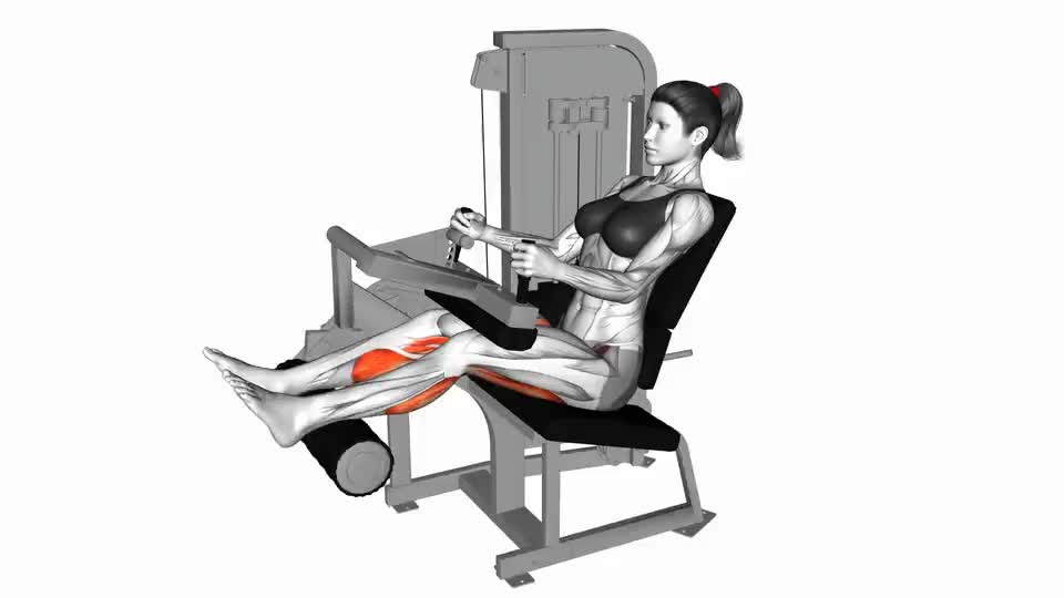 Image of Lever Seated Leg Curl 