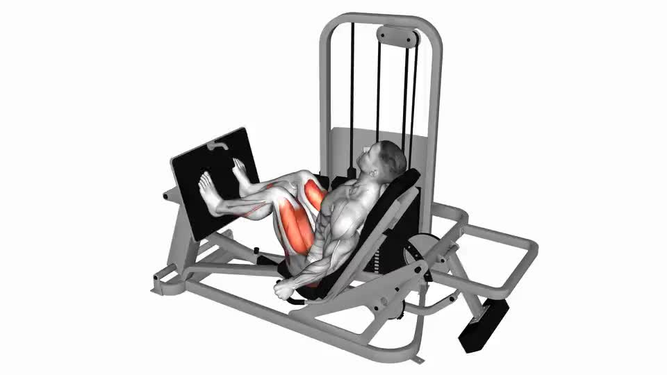 Image of Lever Seated Leg Press