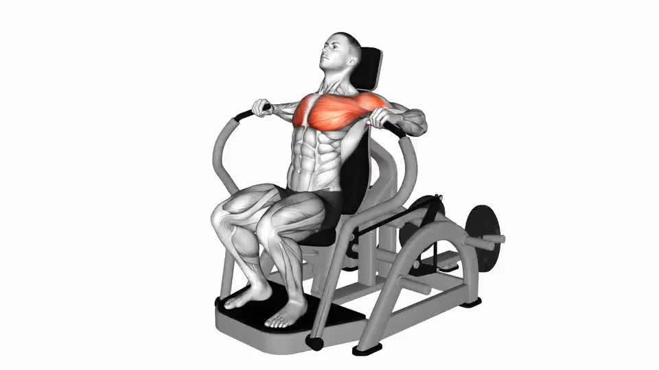Image of Lever Chest Press 