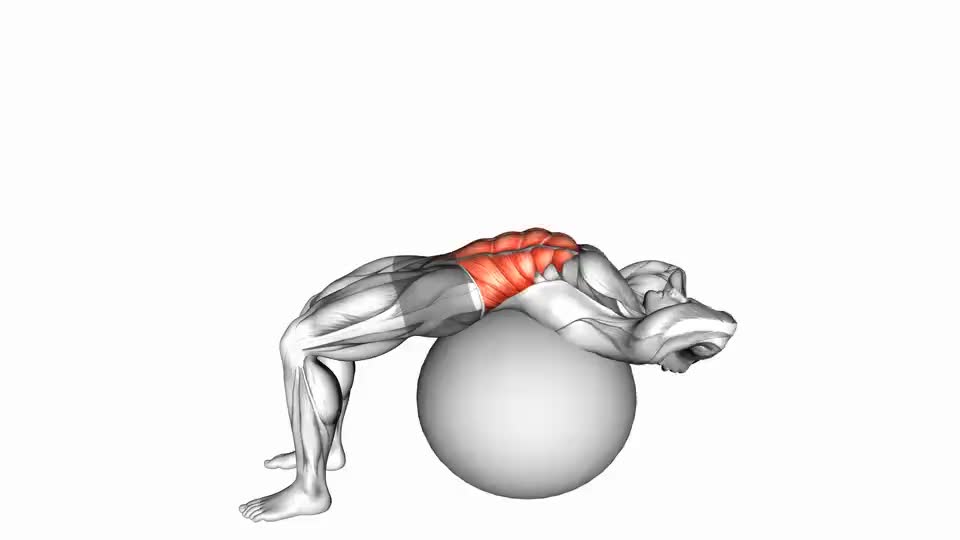 Image of Stability Ball Crunch 