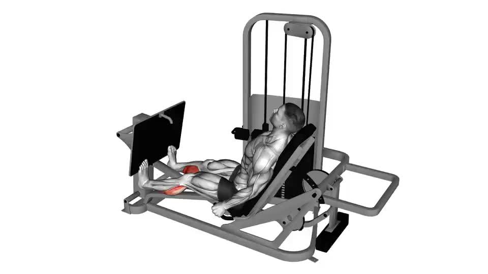 Image of Lever Seated Calf Press