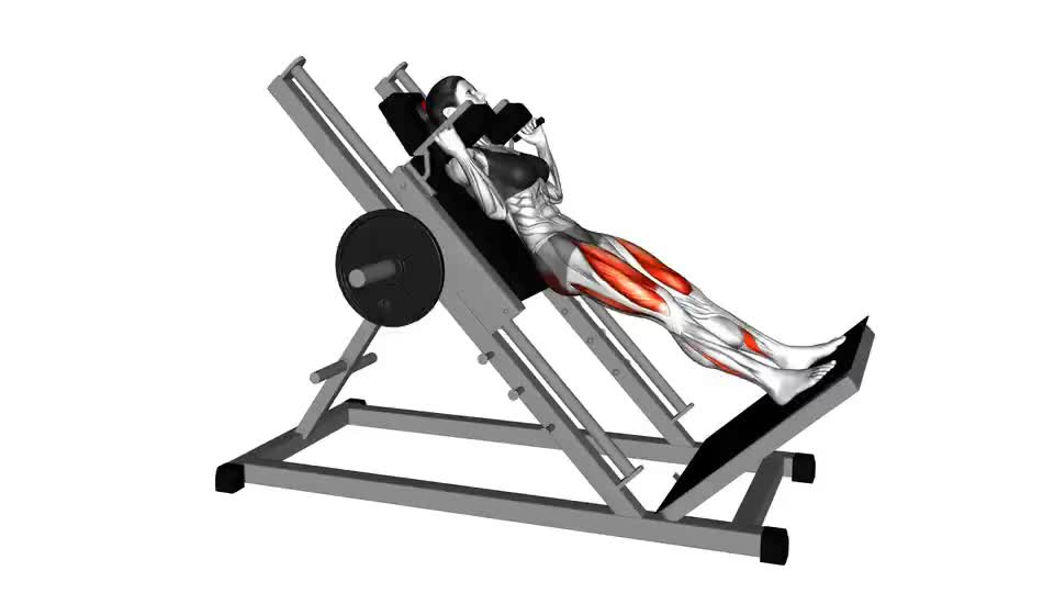 Image of Sled Hack Squat