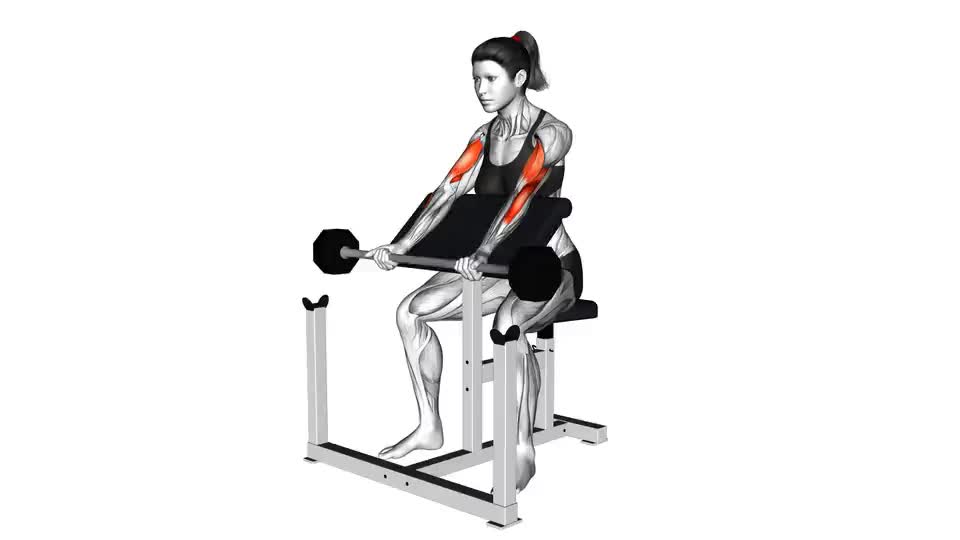 Image of Preacher Curl s palico