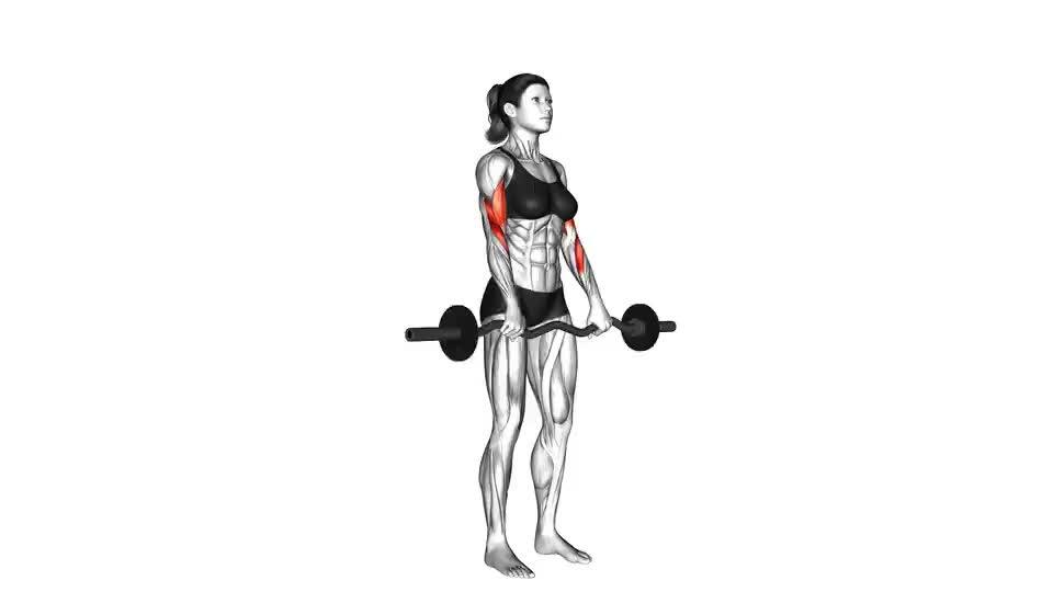Image of EZ Barbell Reverse Grip Curl 