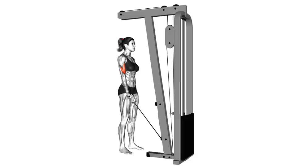 Image of Uaea Pi'u Lima Lima