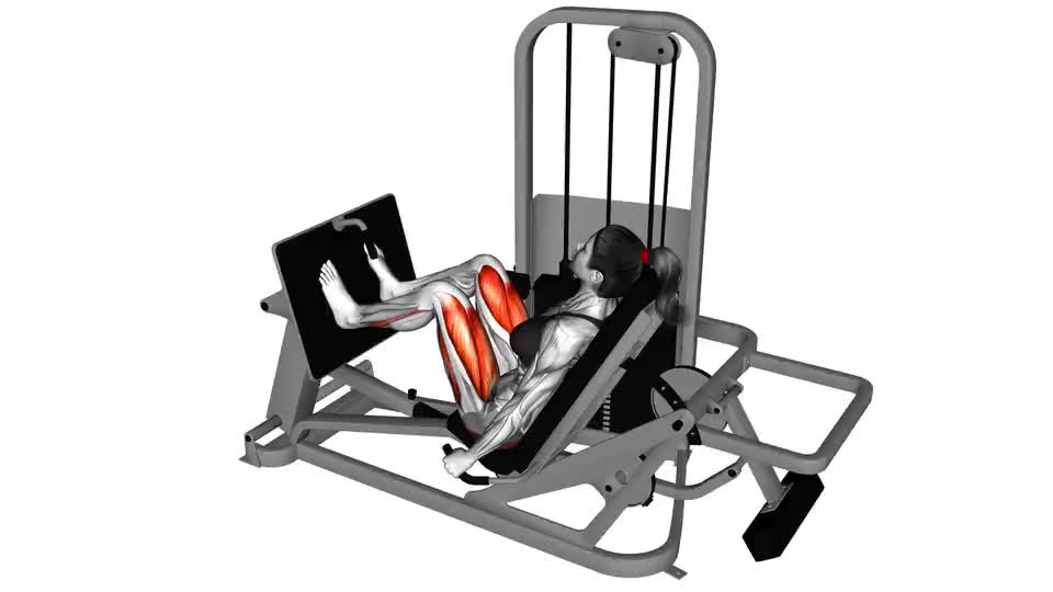 Image of Lever Seated Leg Press 