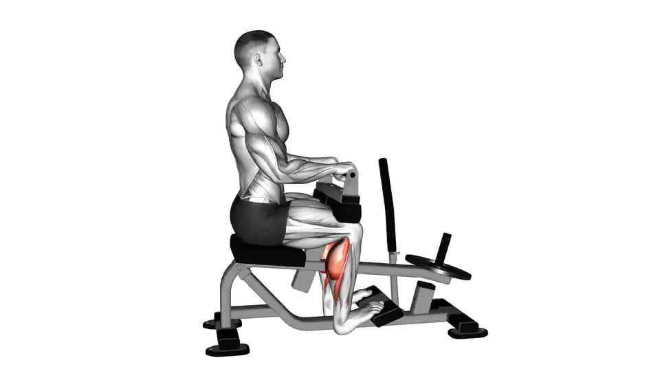Image of Lever Seated Calf Raise 