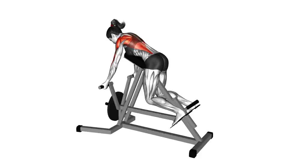 Image of Lever Reverse T-Bar Row