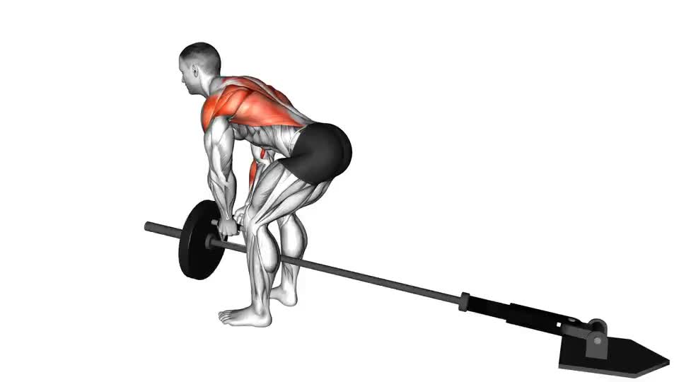 Image of Lever Bent-over Row with V-bar 