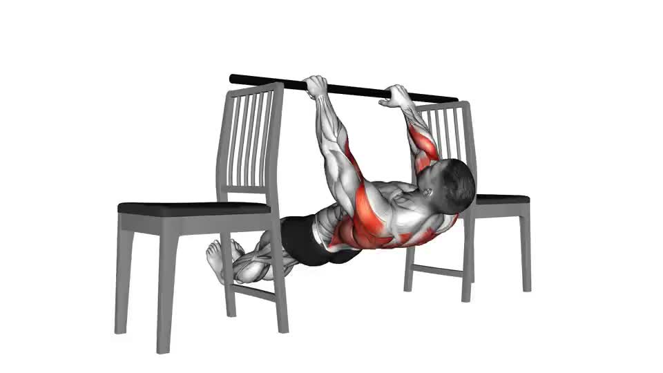 Inverted Row Muscles How To Do An Inverted Row BODi