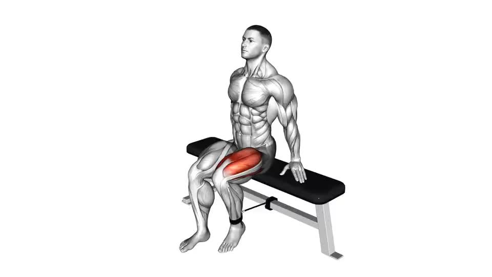 Band Seated Leg Extension: A Comprehensive Exercise Guide