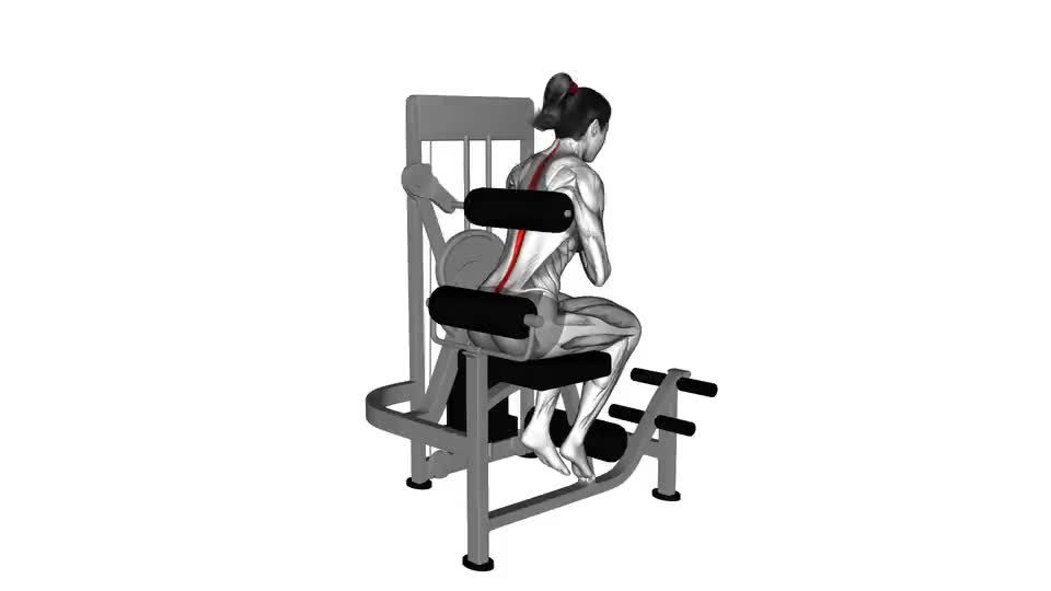 Image of Extensie spate pârghie