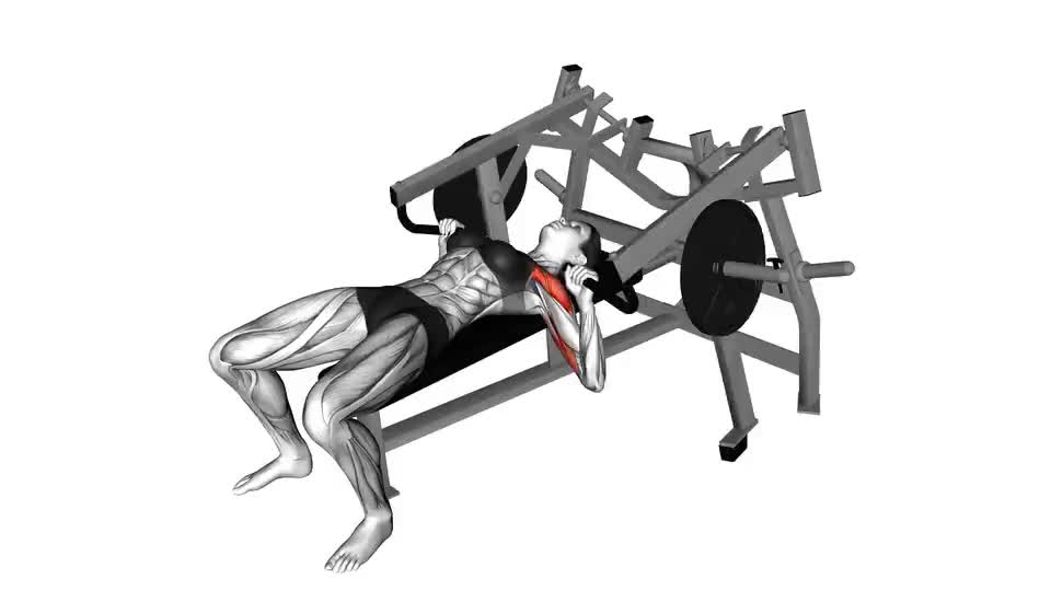 Image of Lever Lying Chest Press 
