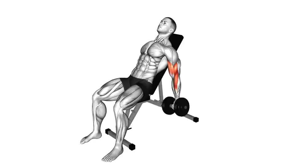 Image of Dumbbell Incline Alternate Bicep Curl
