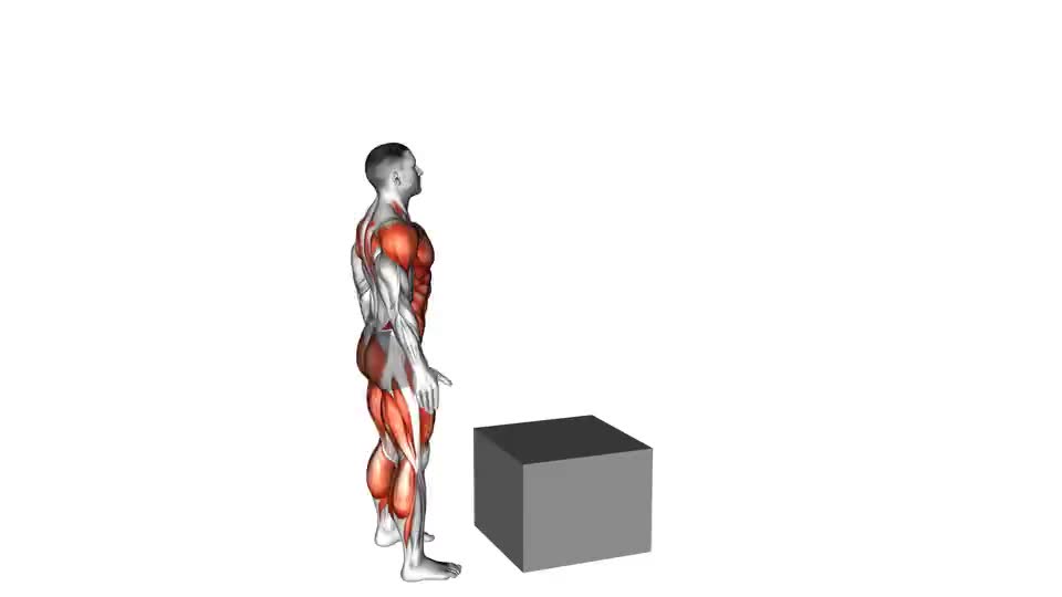 Image of Jump on Fit-Box 