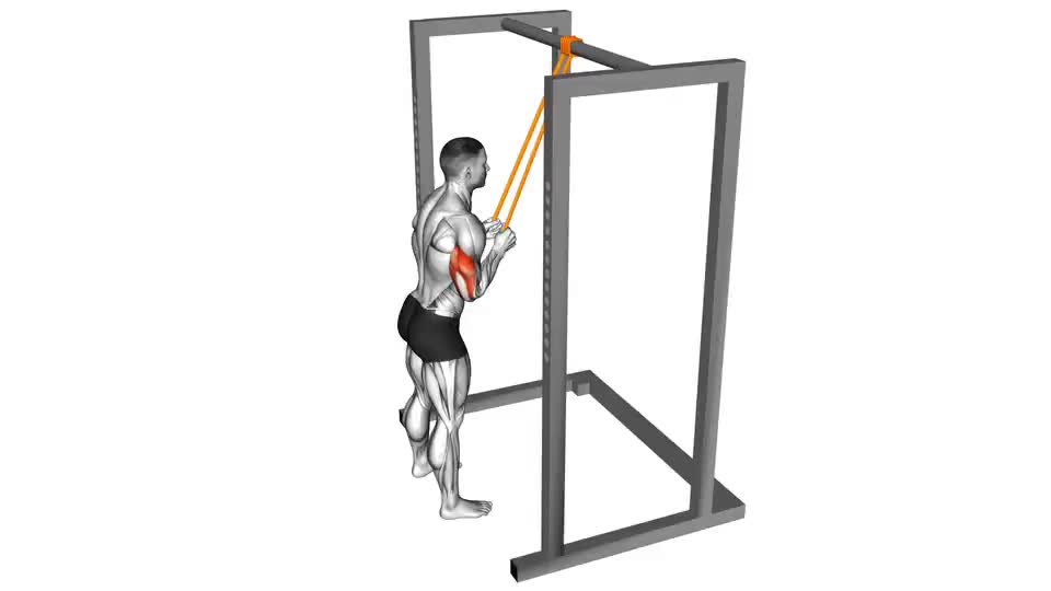 Image of Resistance Band Triceps Pushdown